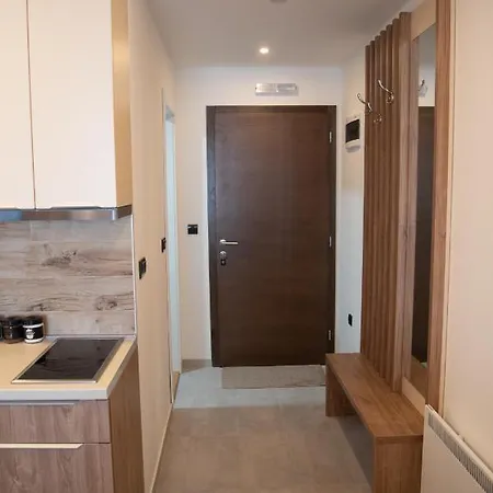 Apartment Larisa Kopaonik